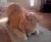 lƂ܂с@̂P