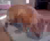 lƂ܂с@̂Q