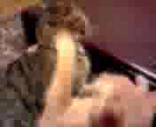 ꂠ