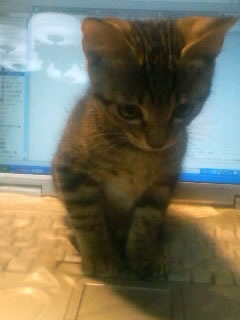 hi on the PC@2/3