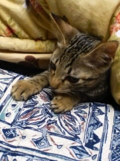 ZJhIsjI@̂Q