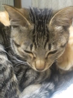 wȂɁHx