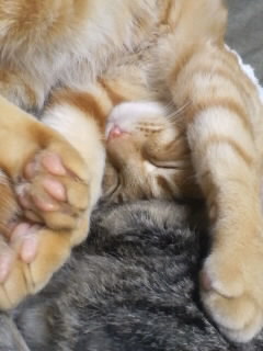 oUCȂ疰
