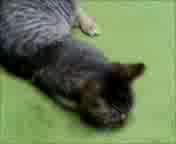 hiƃ}^^r